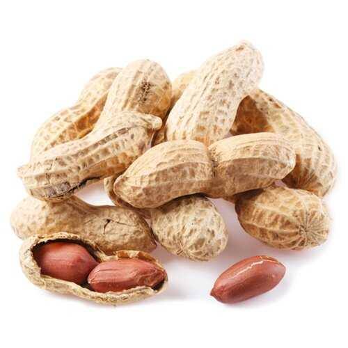 Peanuts: A Tasty Source of Energy and Health