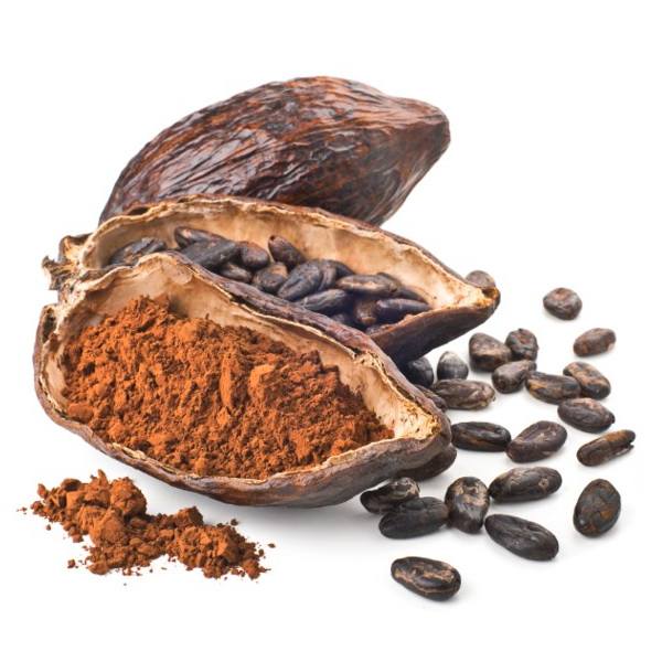 Cocoa Nuts for Chocolate: Perfect Taste and Quality