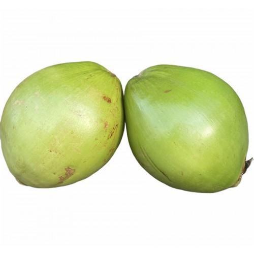 Young coconut: the taste of the tropics in every sip